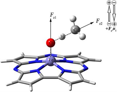 Oriented External Electric Fields Regurating the Reaction Mechanism of CH4 Oxidation Catalyzed by Fe(IV)-Oxo-Corrolazine: Insight from Density Functional Calculations